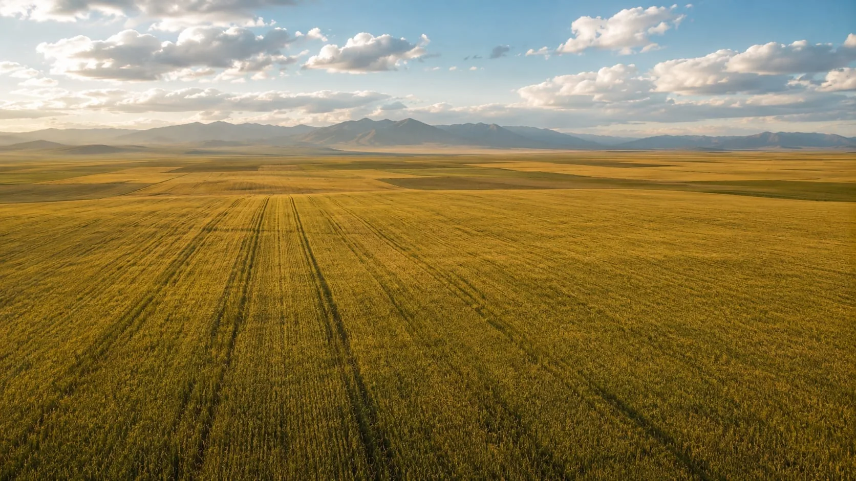 Golden fields beneath distant mountains