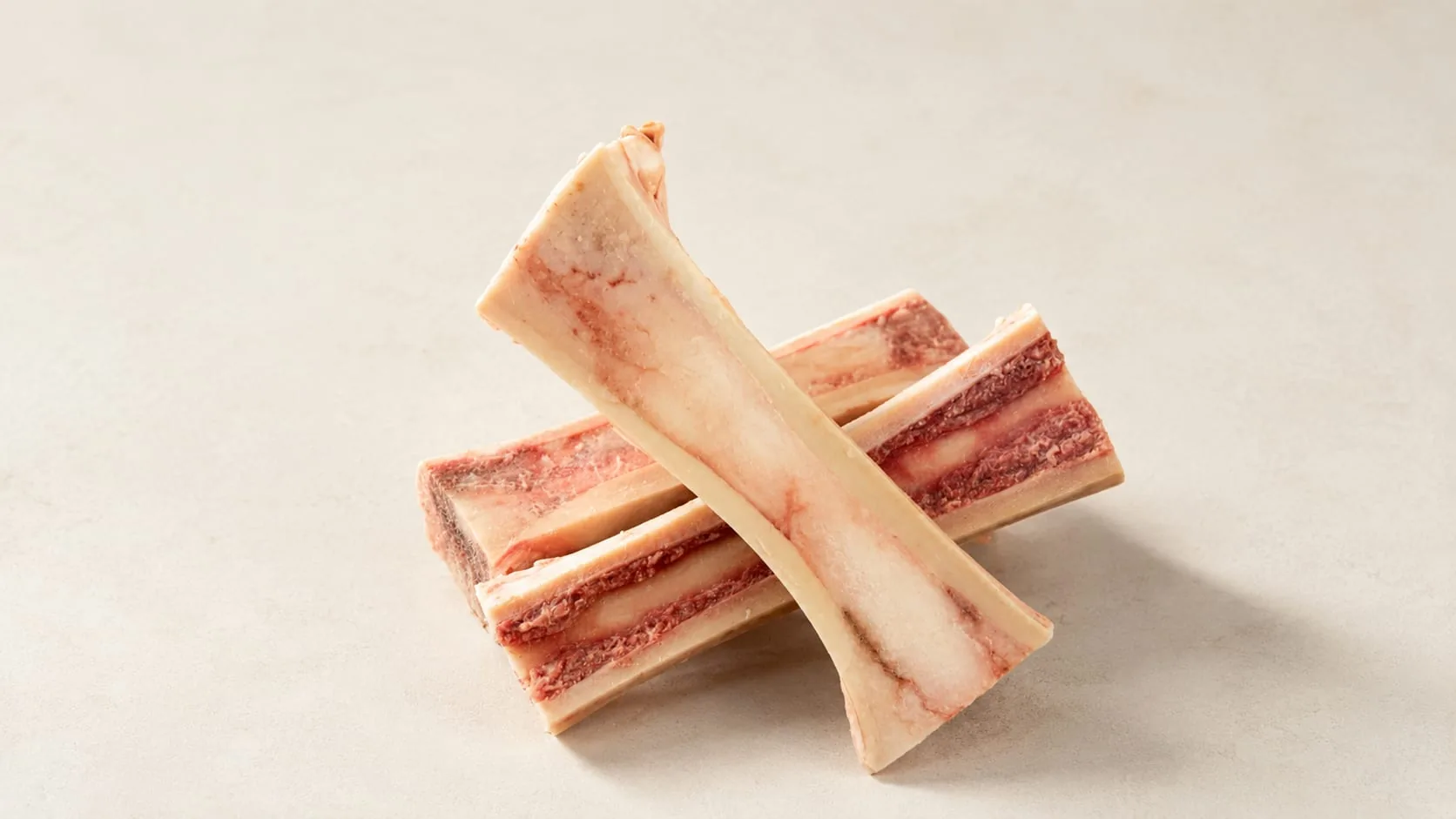 Bone Marrow